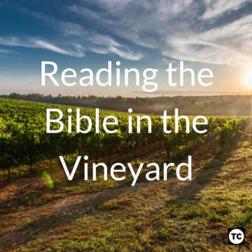 Reading the Bible in the Vineyard