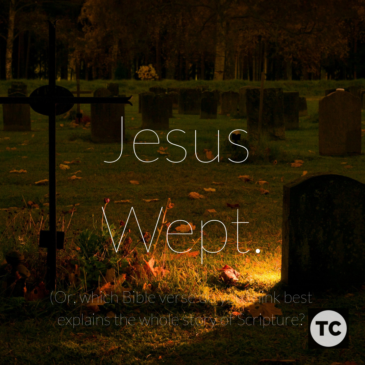 Jesus Wept: A Summary of the Story