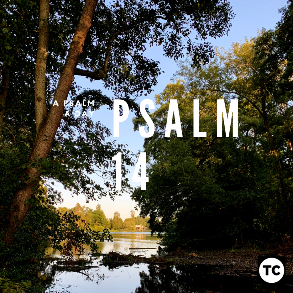 Psalm 14