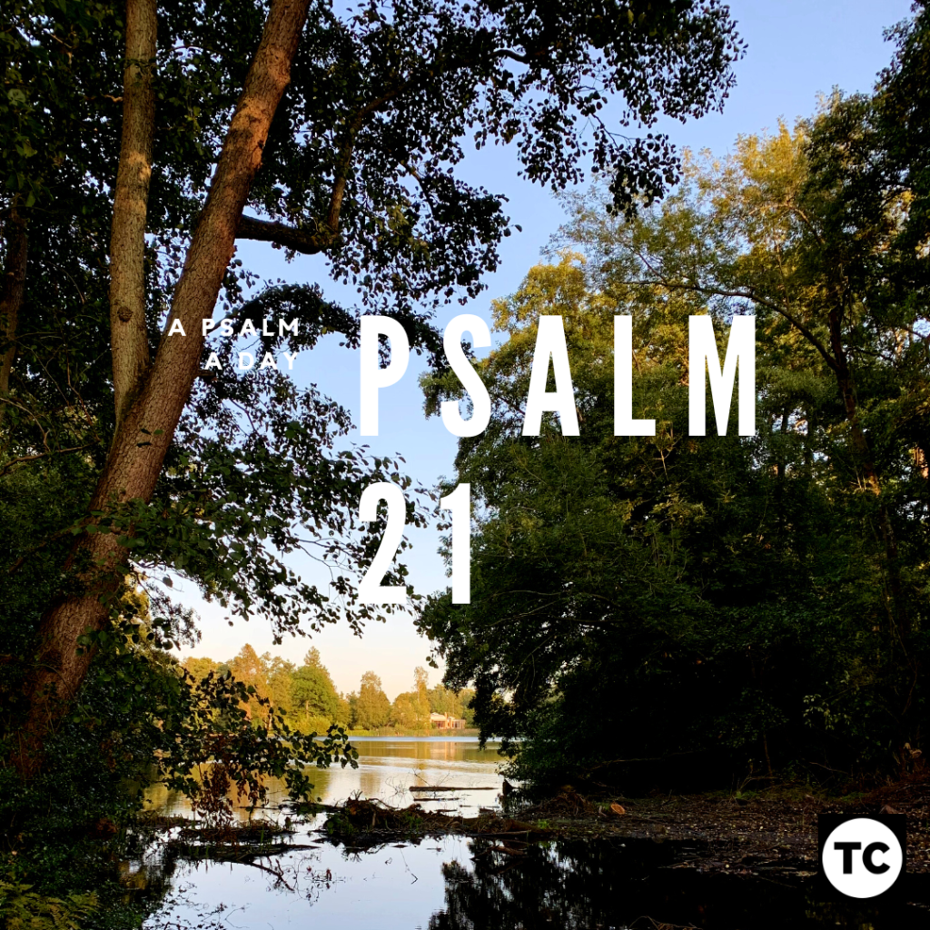 psalm twenty one