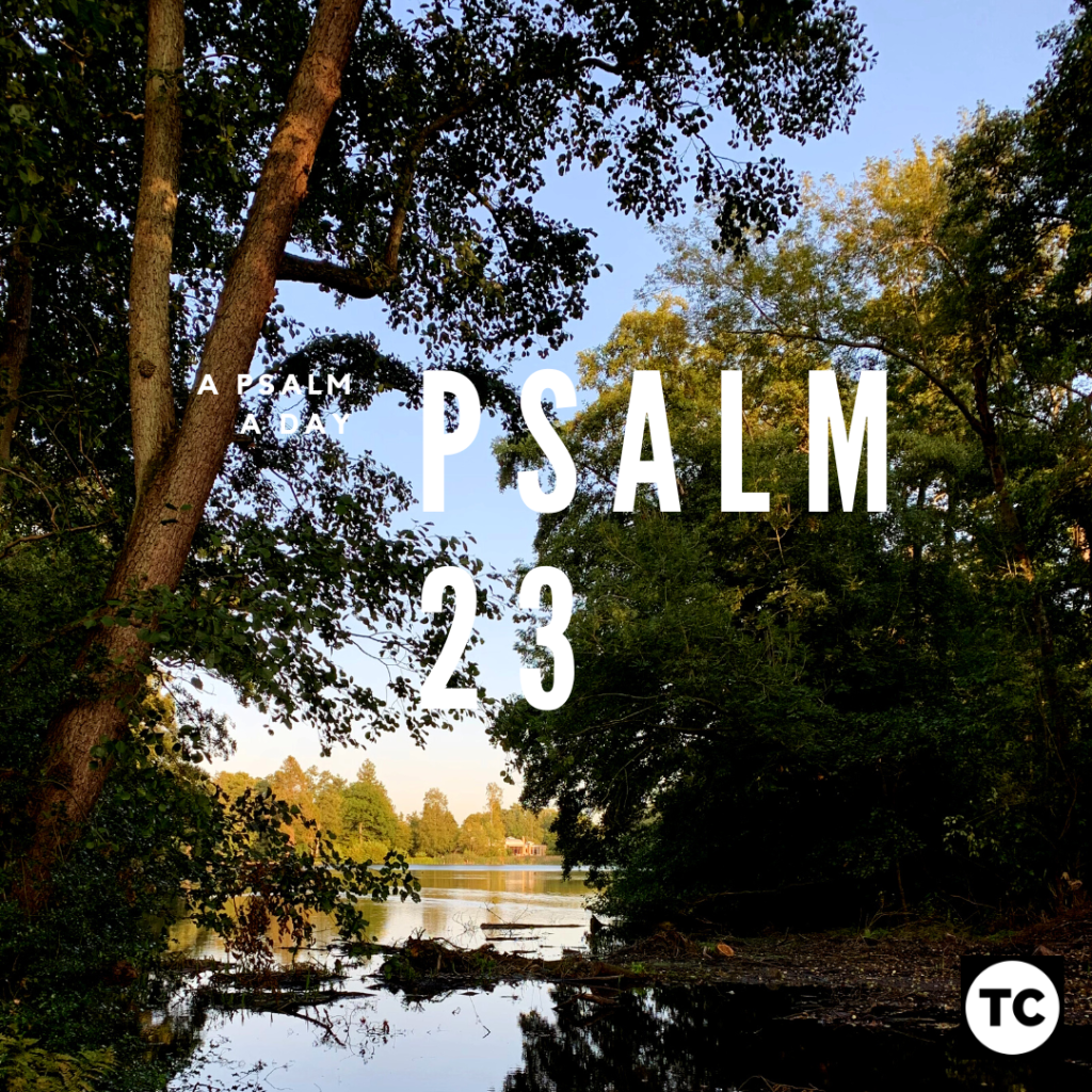 psalm 23