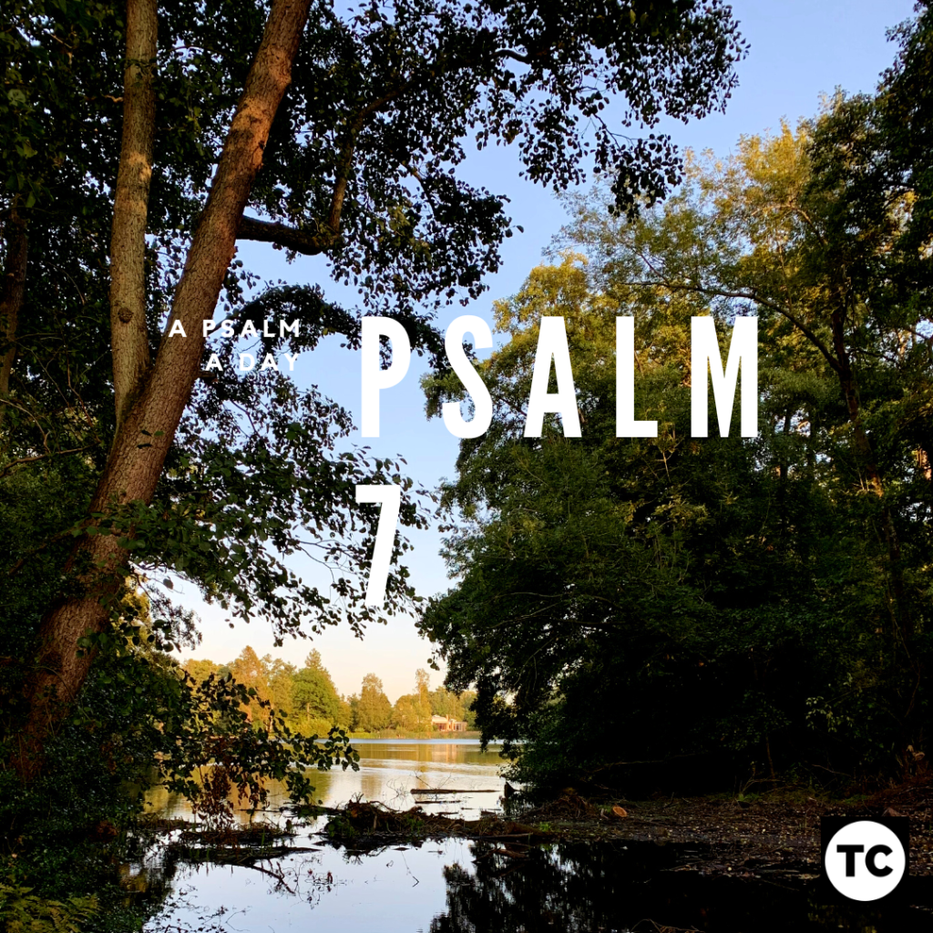 psalm 7