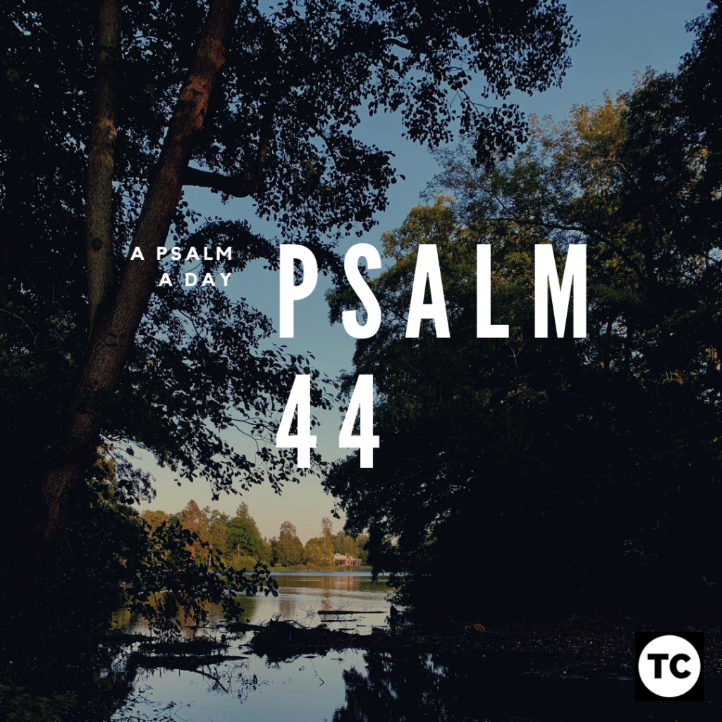 a psalm a day psalm 44