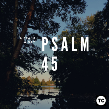 A Psalm a Day: Psalm 45