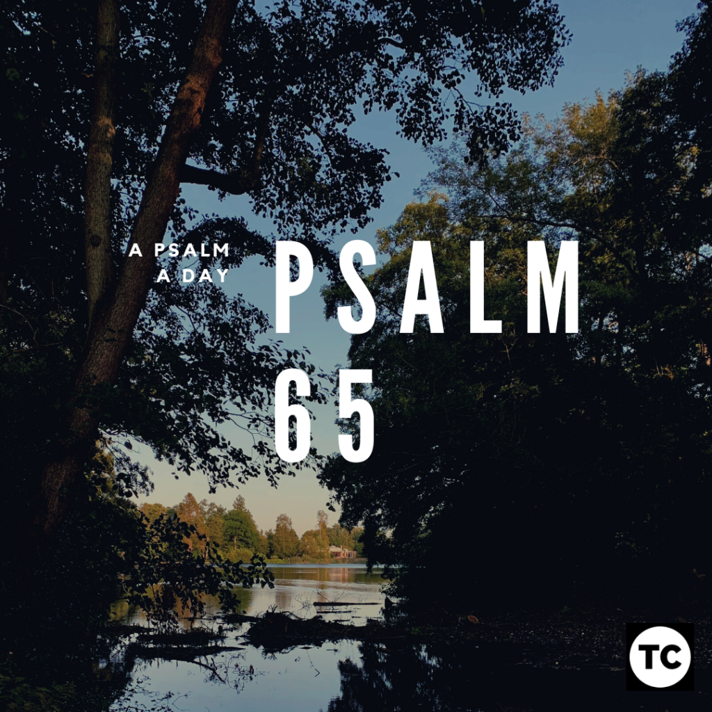 a psalm a day psalm 65